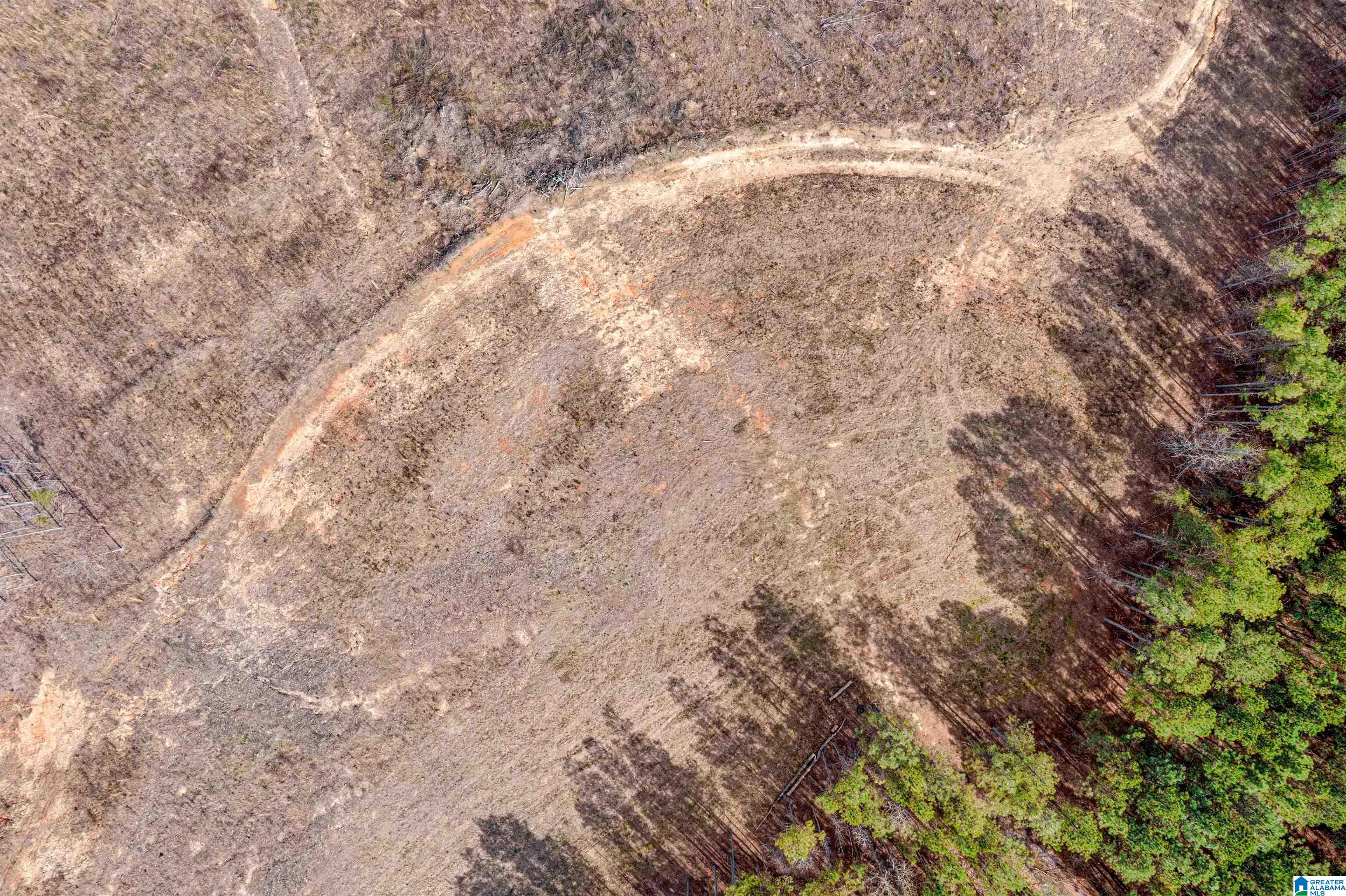 0 Frost Road, Unit 100 / ACRES Springville, AL 35146 - Photo 56 of 60
