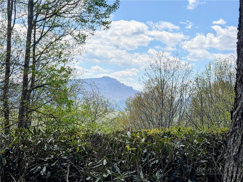 351 Old Bark Road Boone, NC 28607 - Photo 14 of 50