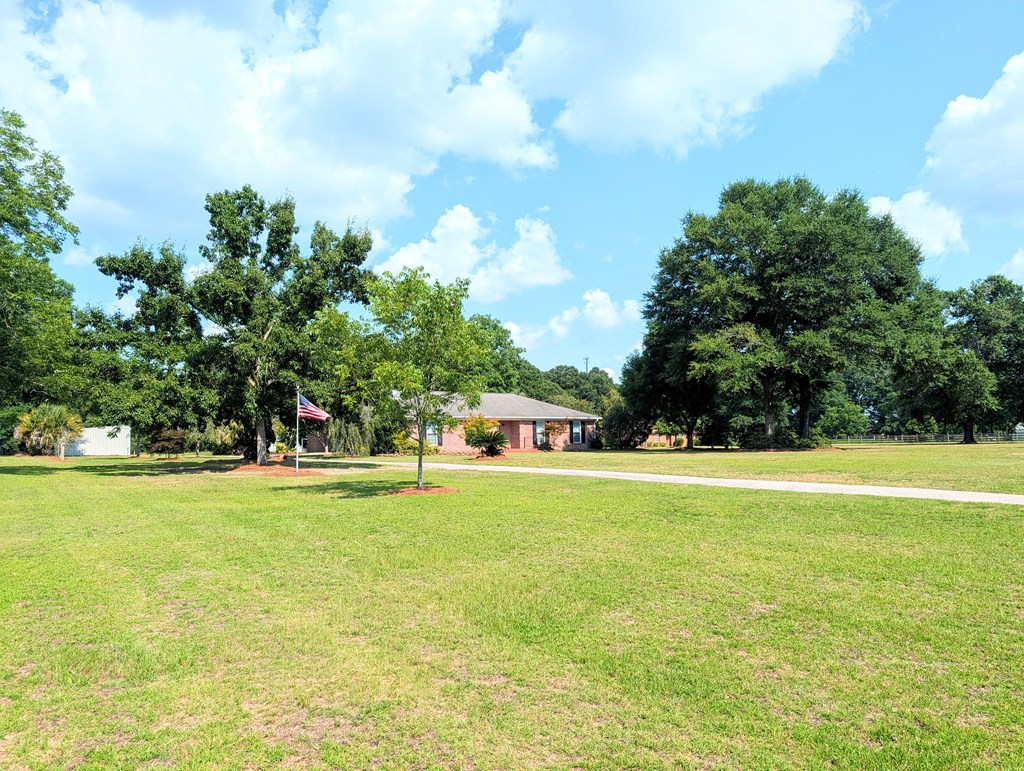 3117 Holland Road Newton, AL 36352 - Photo 33 of 78