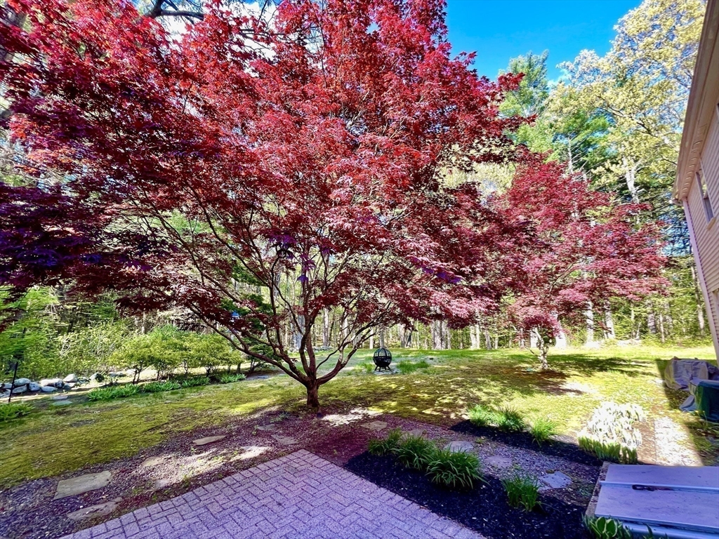 114 Hunters Ridge Road Concord, MA 01742 - Photo 31 of 38 a view of a park with large trees