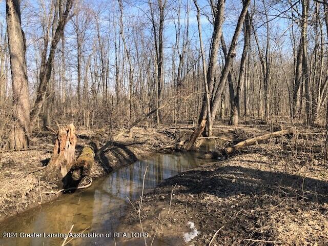 0 Bellevue Road Battle Creek, MI 49014 - Photo 19 of 20 Stream