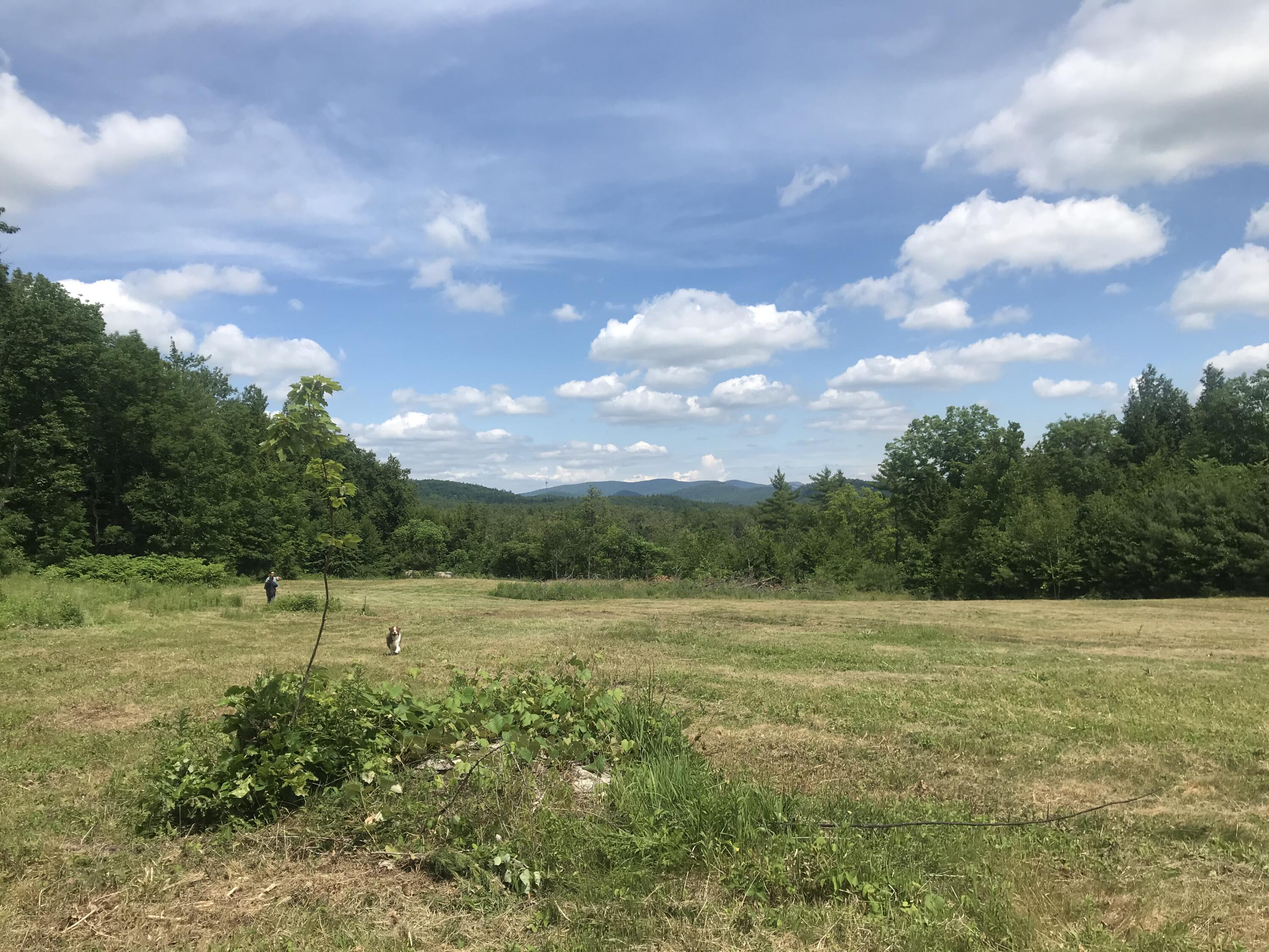 0 Devereux Road Parsonsfield, ME 04047 - Photo 1 of 6 IMG_0690