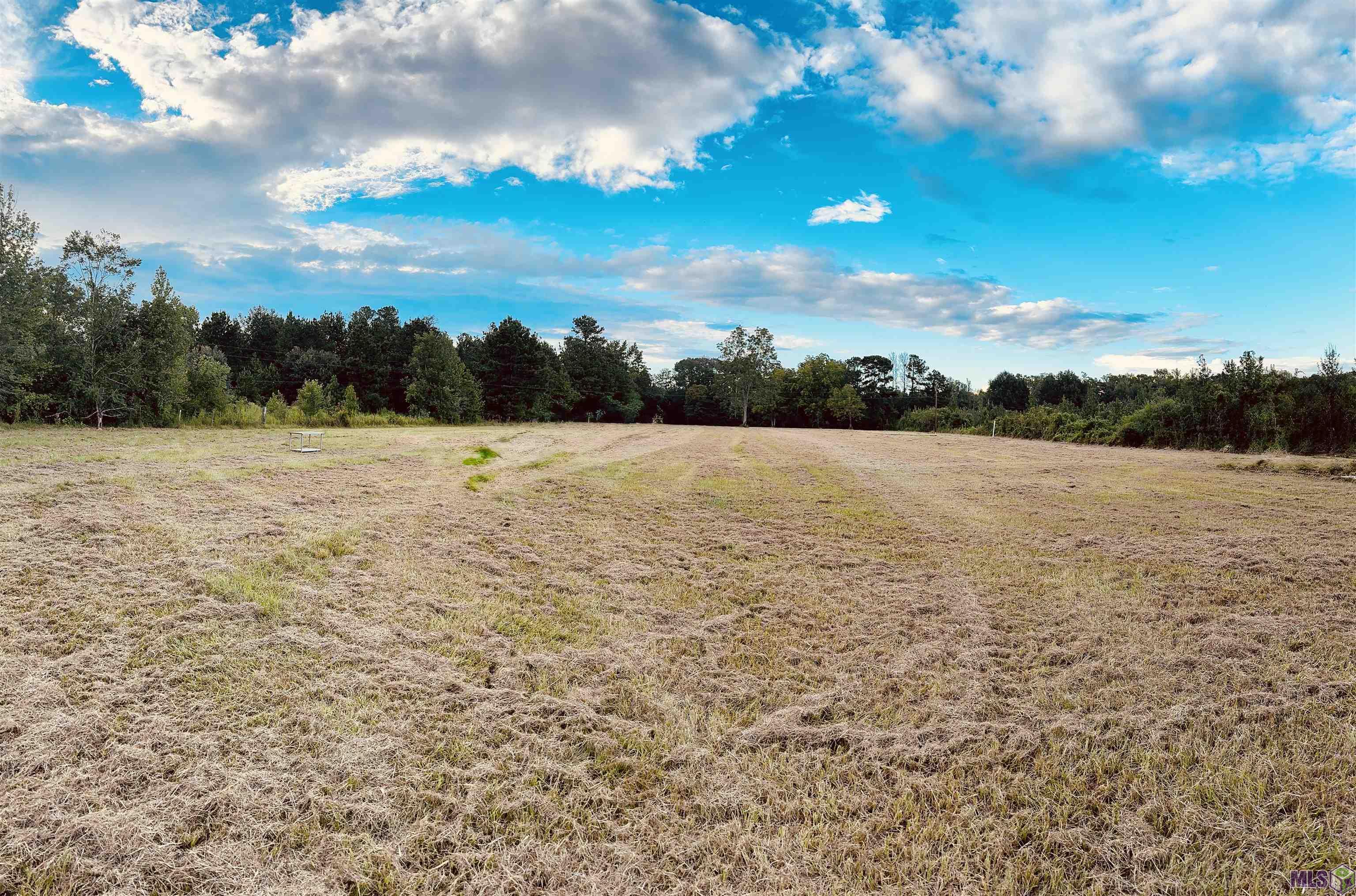 2021 Nesom Road Denham Springs, LA 70706 - Photo 1 of 2