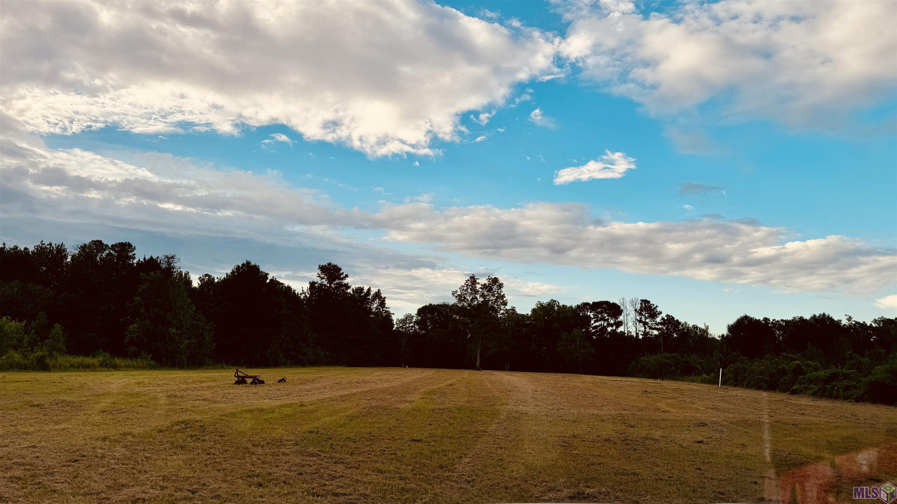 2021 Nesom Road Denham Springs, LA 70706 - Photo 2 of 2