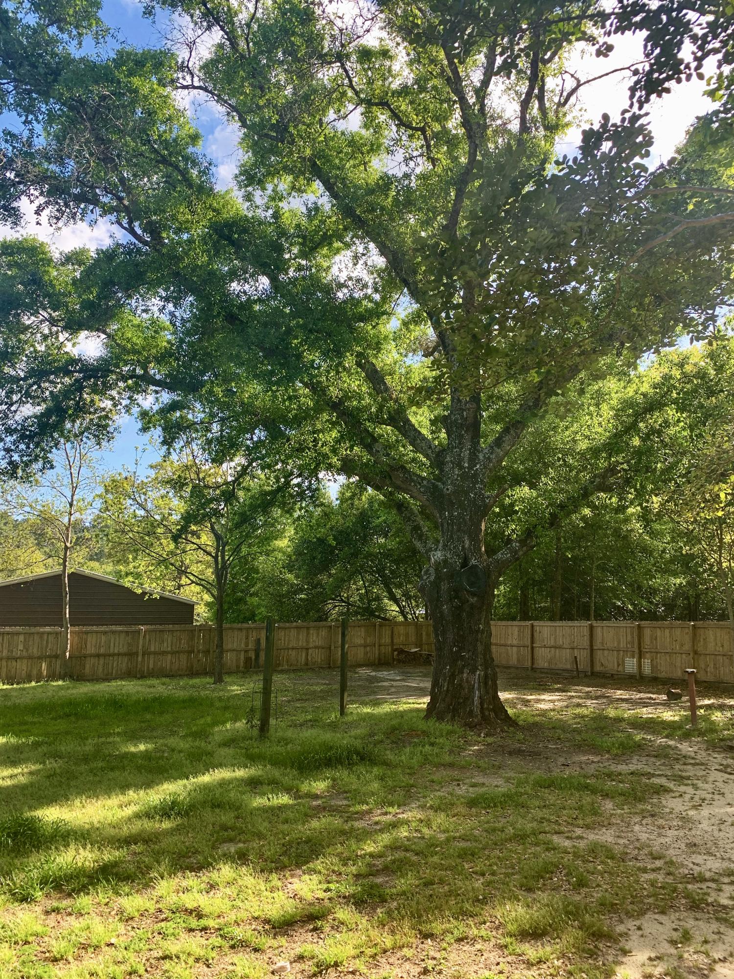 3088 Butler Road North Crestview, FL 32539 - Photo 3 of 6 a view of a park with large trees