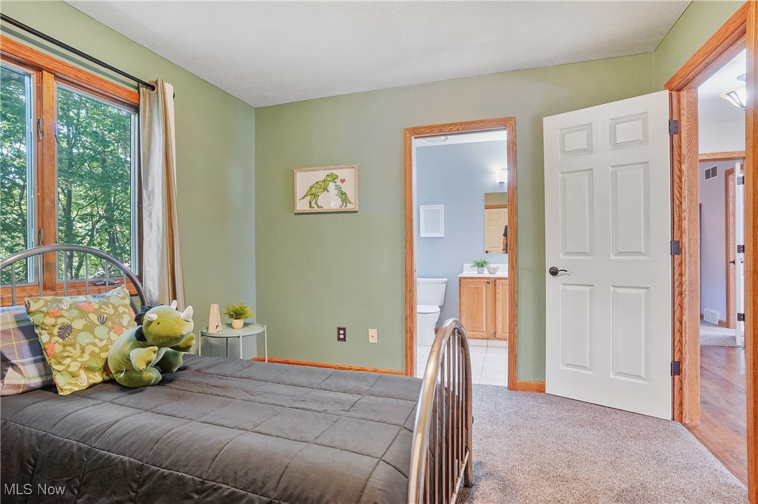 370 Wilcox Road Youngstown, OH 44515 - Photo 23 of 49 Carpeted bedroom featuring connected bathroom and baseboards