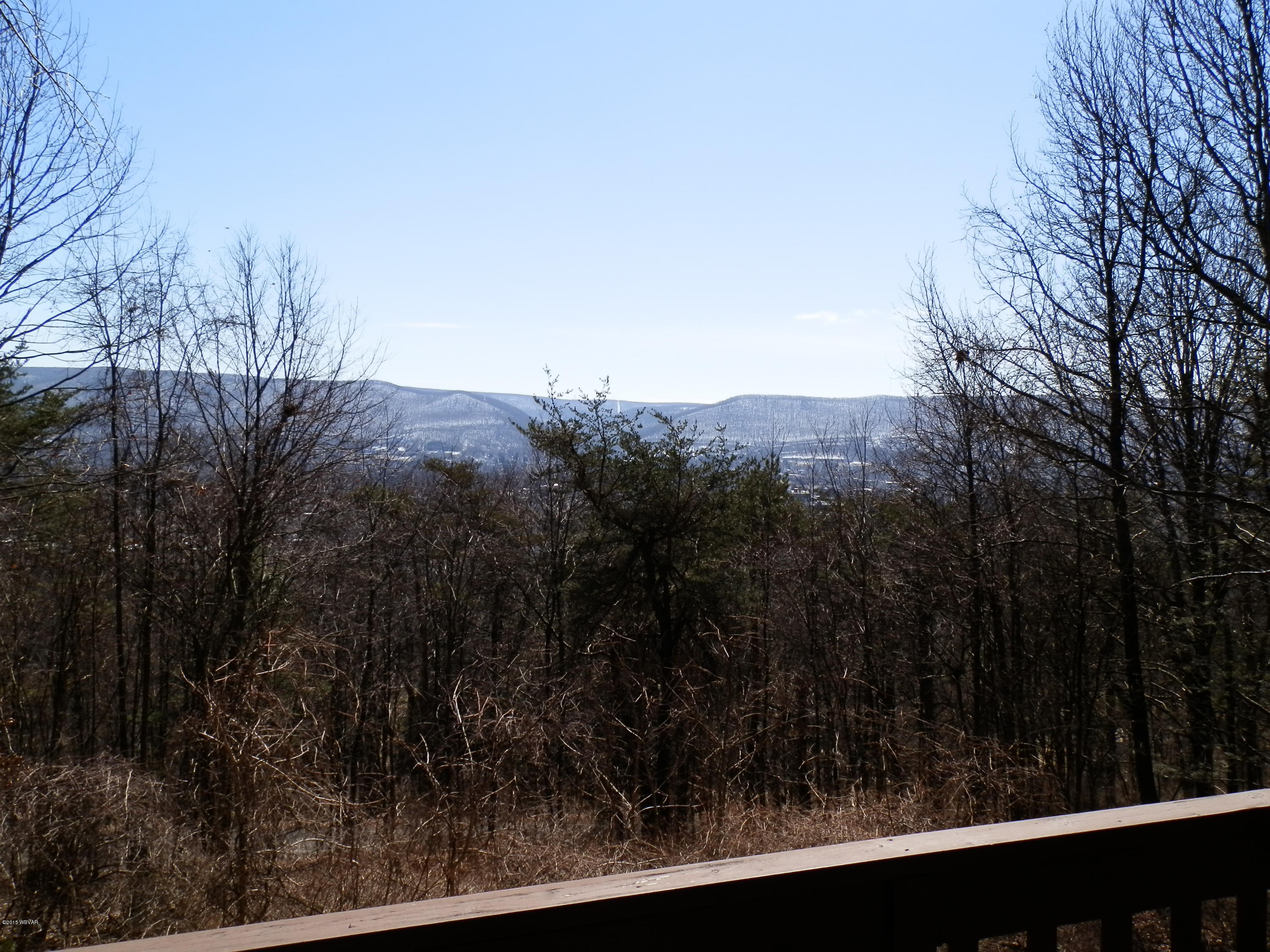 333 Upland Road Williamsport, PA 17701 - Photo 15 of 18 Winter View