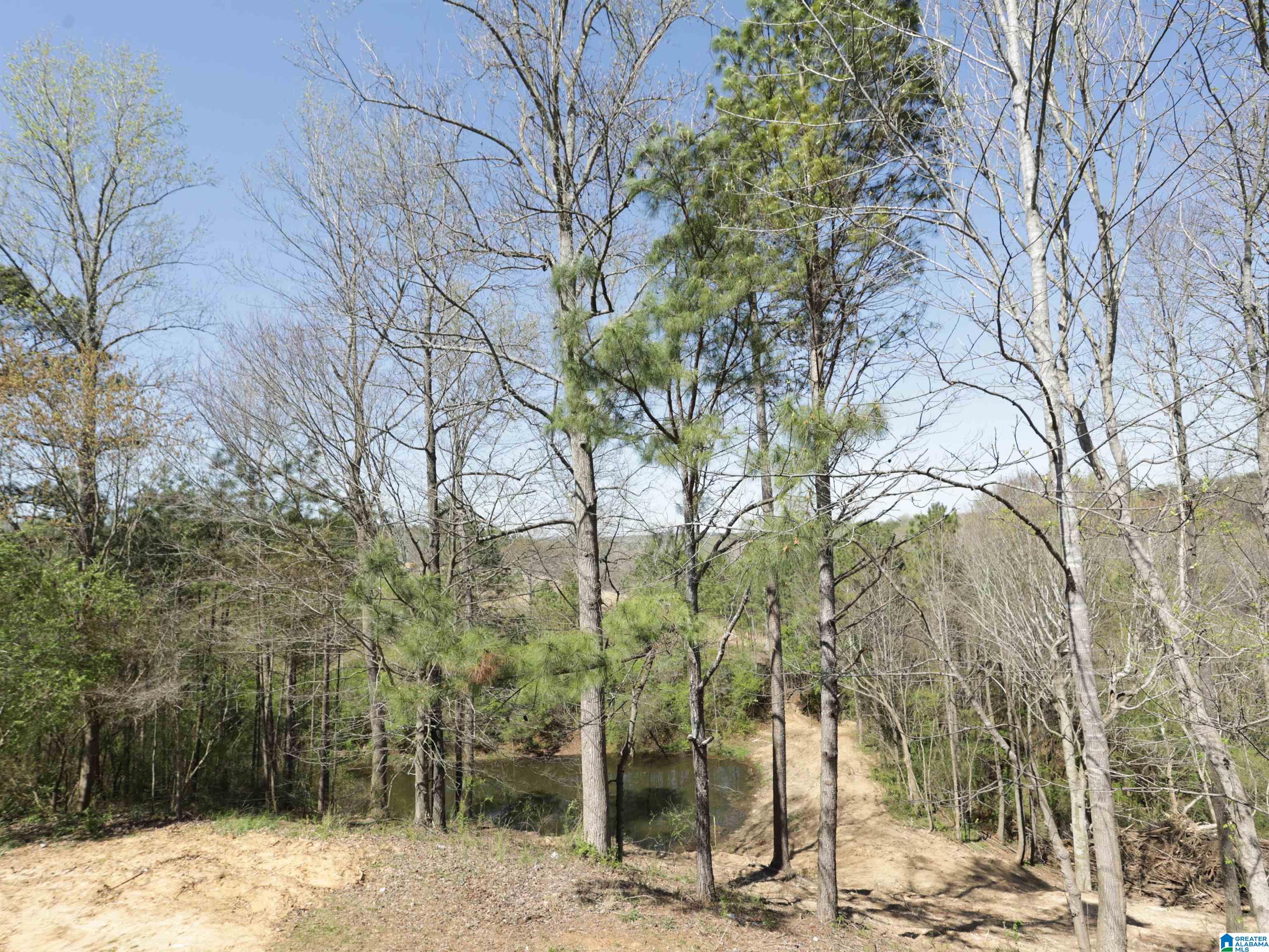 879 Timmerman Road Blountsville, AL 35031 - Photo 56 of 72