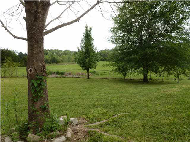 6195 Clinton-Tinnin Road Jackson, MS 39209 - Photo 22 of 24 View of land