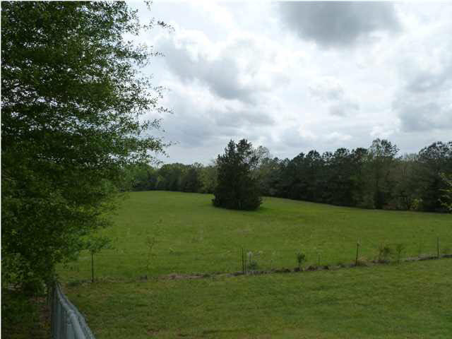 6195 Clinton-Tinnin Road Jackson, MS 39209 - Photo 23 of 24 Another view of pasture