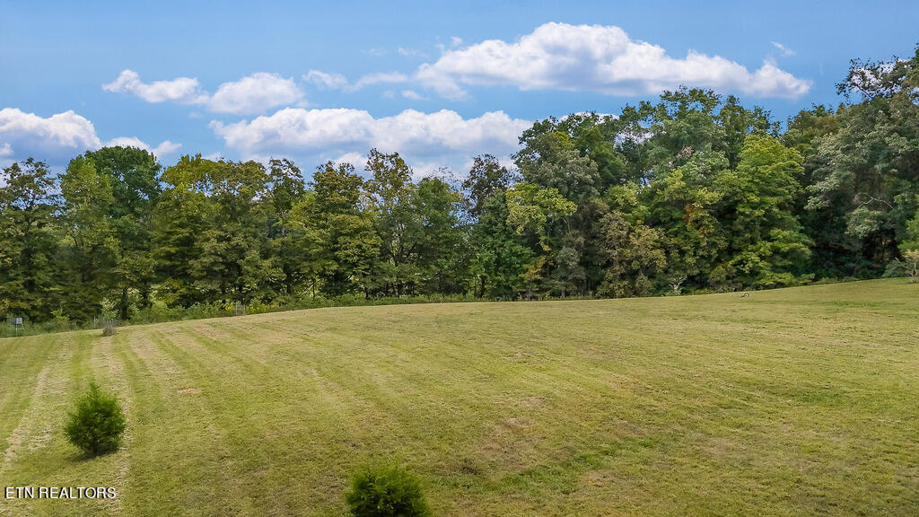 4873 Old Ten Mile Road Ten Mile, TN 37880 - Photo 8 of 32 DJI_20240915130430_0195_D_TENMILE