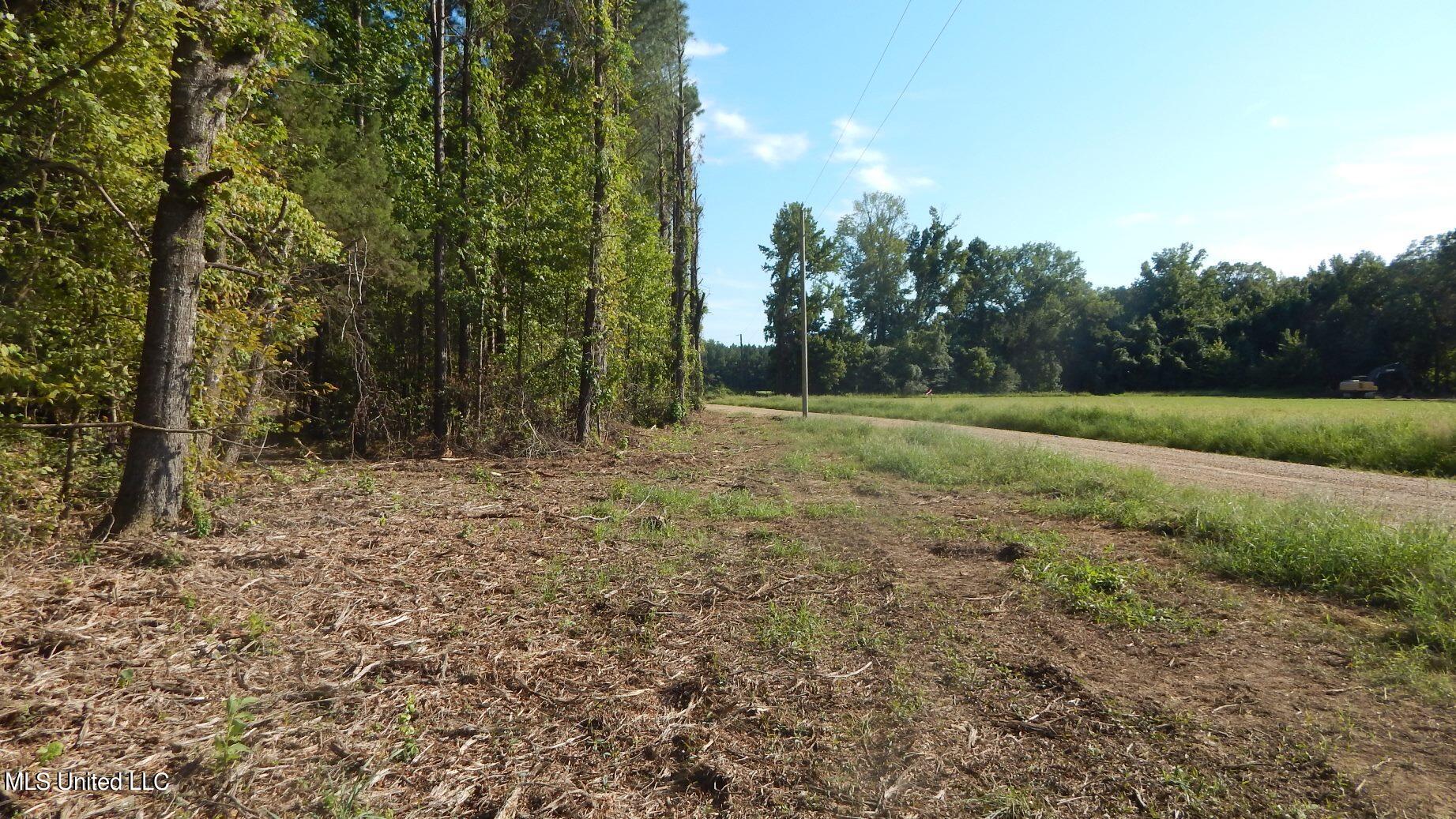 404 247th Road, Unit COUNTRY Bruce, MS 38915 - Photo 11 of 22 DSCN5599