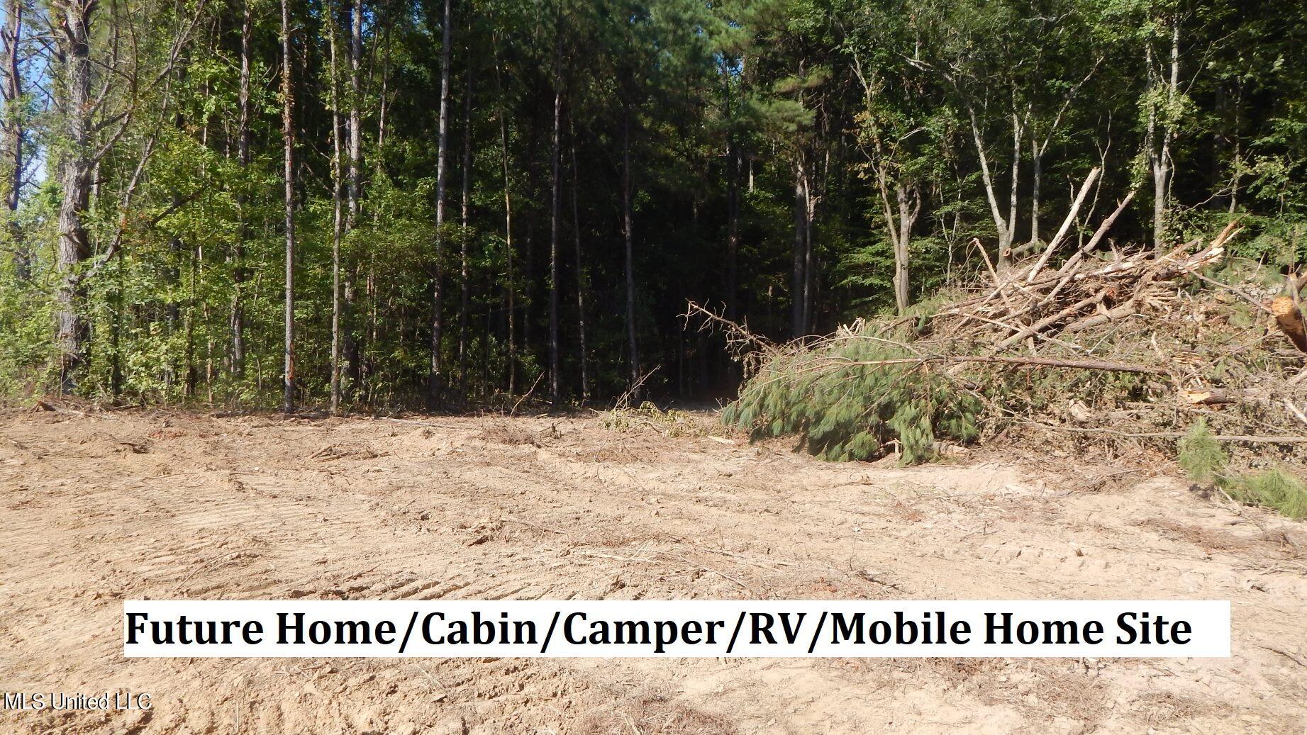 404 247th Road, Unit COUNTRY Bruce, MS 38915 - Photo 12 of 22 DSCN5601