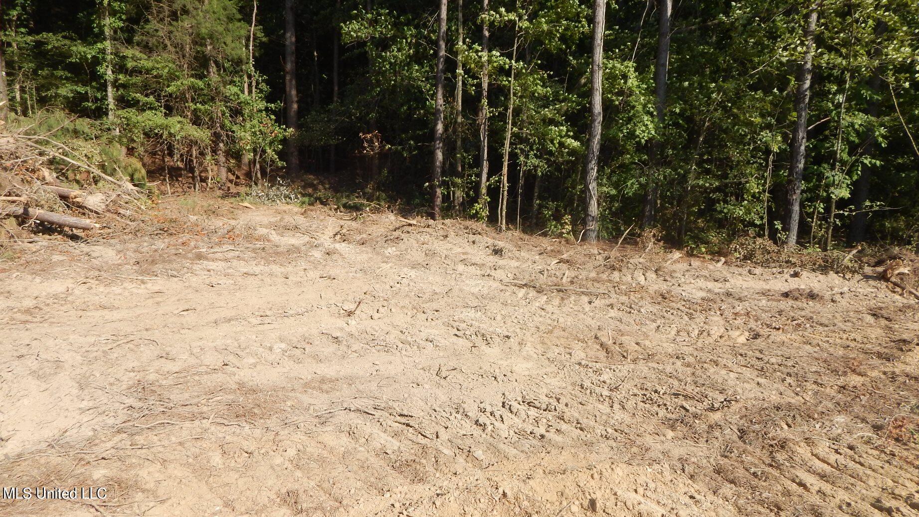 404 247th Road, Unit COUNTRY Bruce, MS 38915 - Photo 14 of 22 DSCN5604