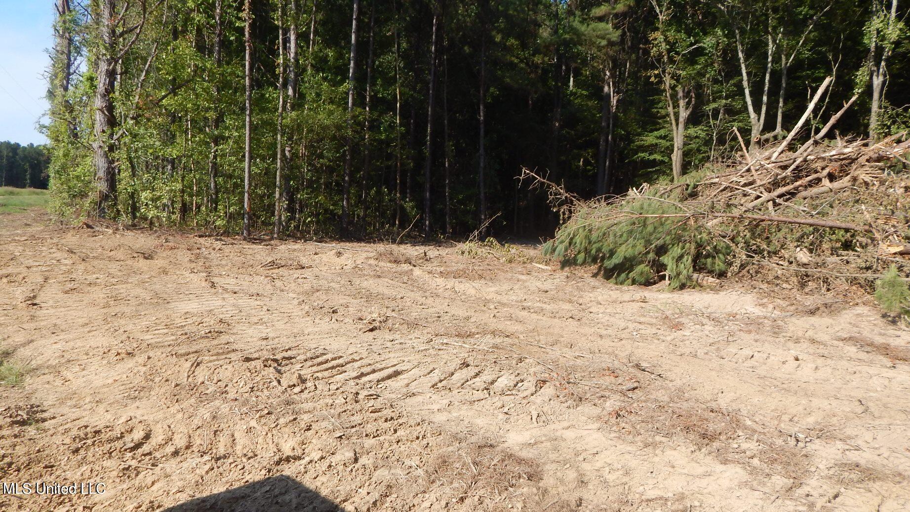 404 247th Road, Unit COUNTRY Bruce, MS 38915 - Photo 15 of 22 DSCN5605