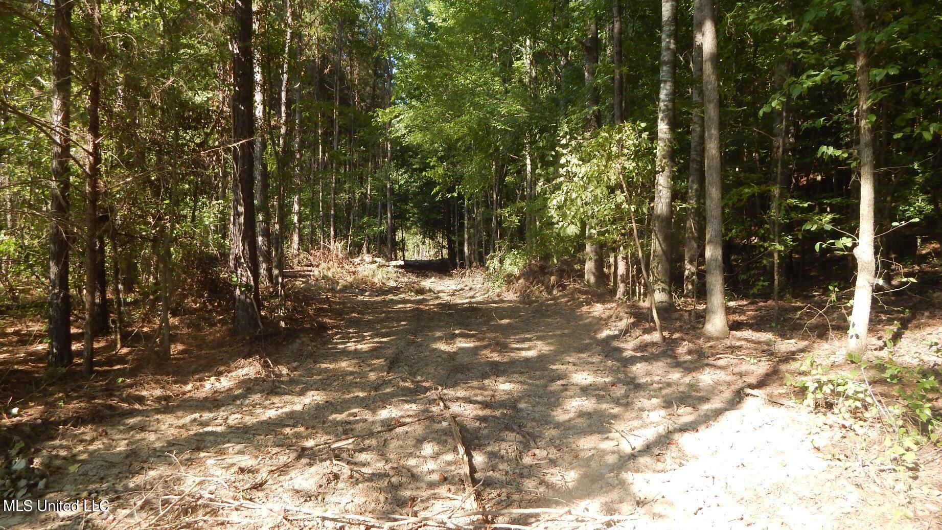 404 247th Road, Unit COUNTRY Bruce, MS 38915 - Photo 3 of 22 DSCN5590