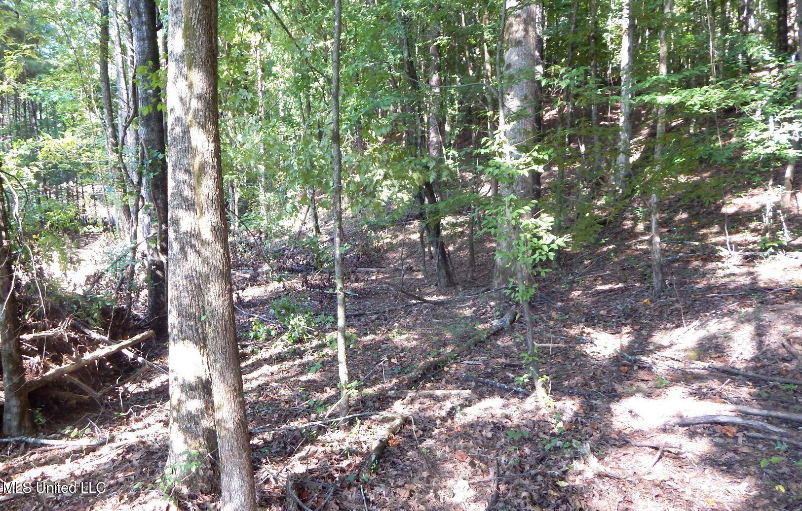 404 247th Road, Unit COUNTRY Bruce, MS 38915 - Photo 4 of 22 DSCN5591