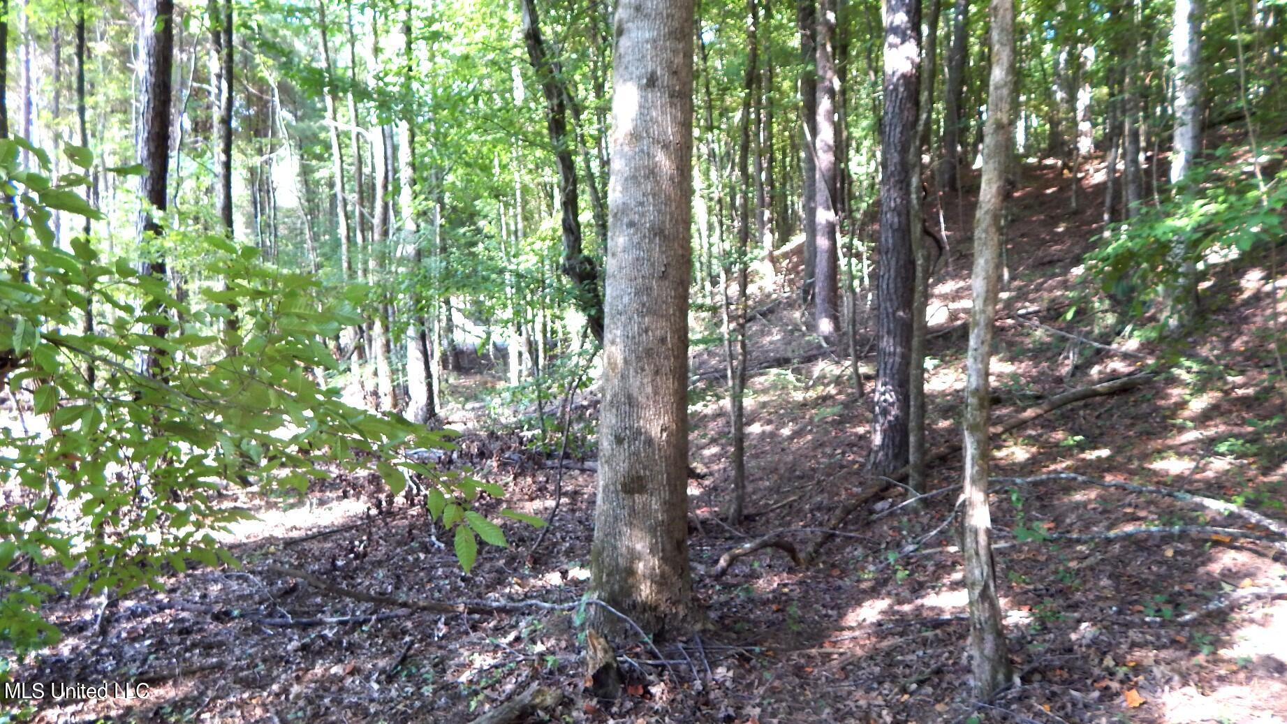 404 247th Road, Unit COUNTRY Bruce, MS 38915 - Photo 5 of 22 DSCN5592