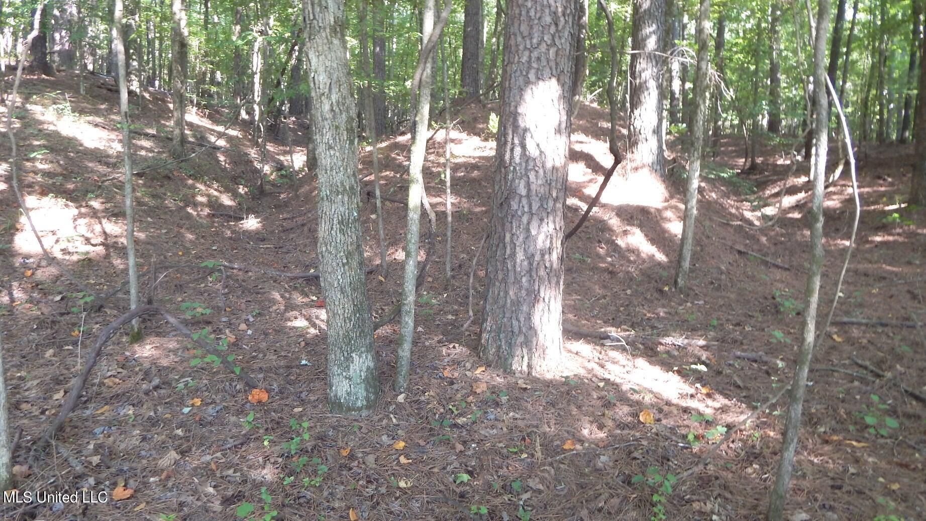 404 247th Road, Unit COUNTRY Bruce, MS 38915 - Photo 10 of 22 DSCN5598