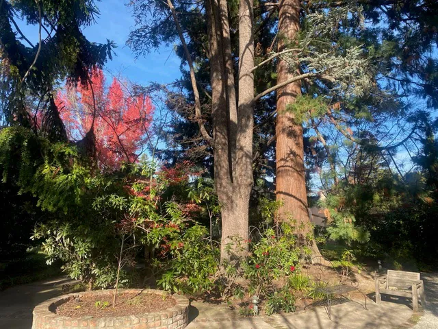 $11,000,000 | 269 Selby Lane, Atherton, CA 94027