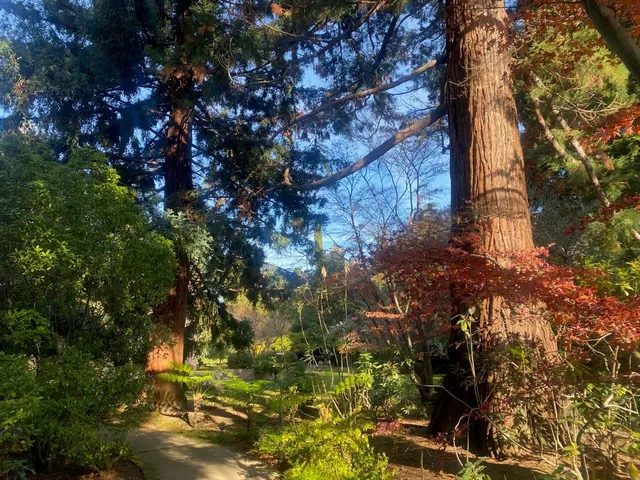 $11,000,000 | 269 Selby Lane, Atherton, CA 94027