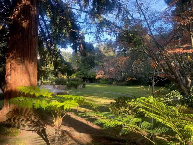 $11,000,000 | 269 Selby Lane, Atherton, CA 94027