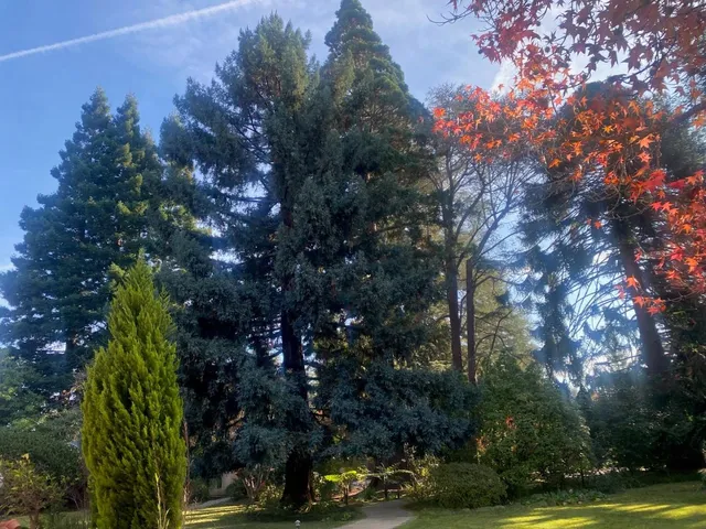 $11,000,000 | 269 Selby Lane, Atherton, CA 94027