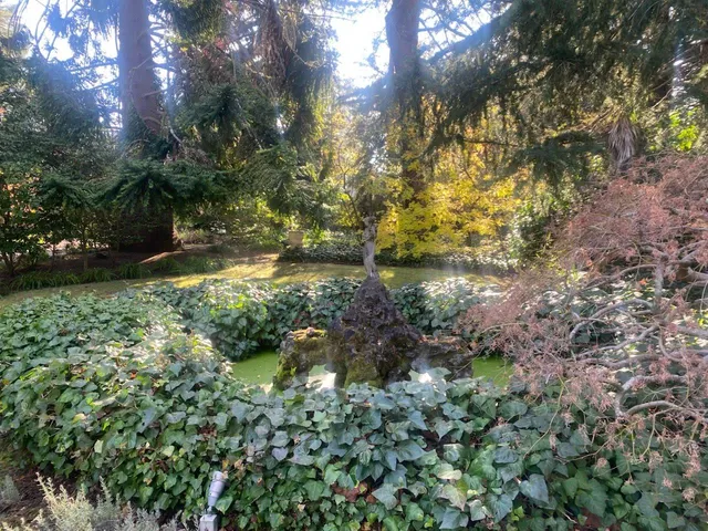 $11,000,000 | 269 Selby Lane, Atherton, CA 94027