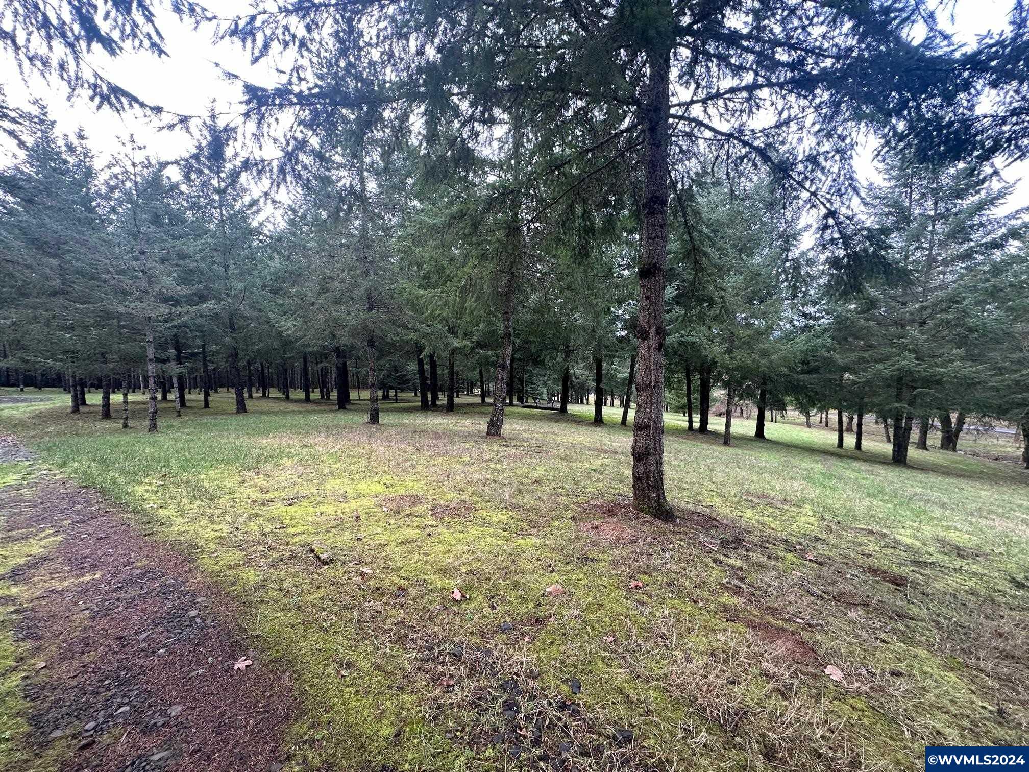 Tl#436096 May Road Dallas, OR 97338 - Photo 15 of 17
