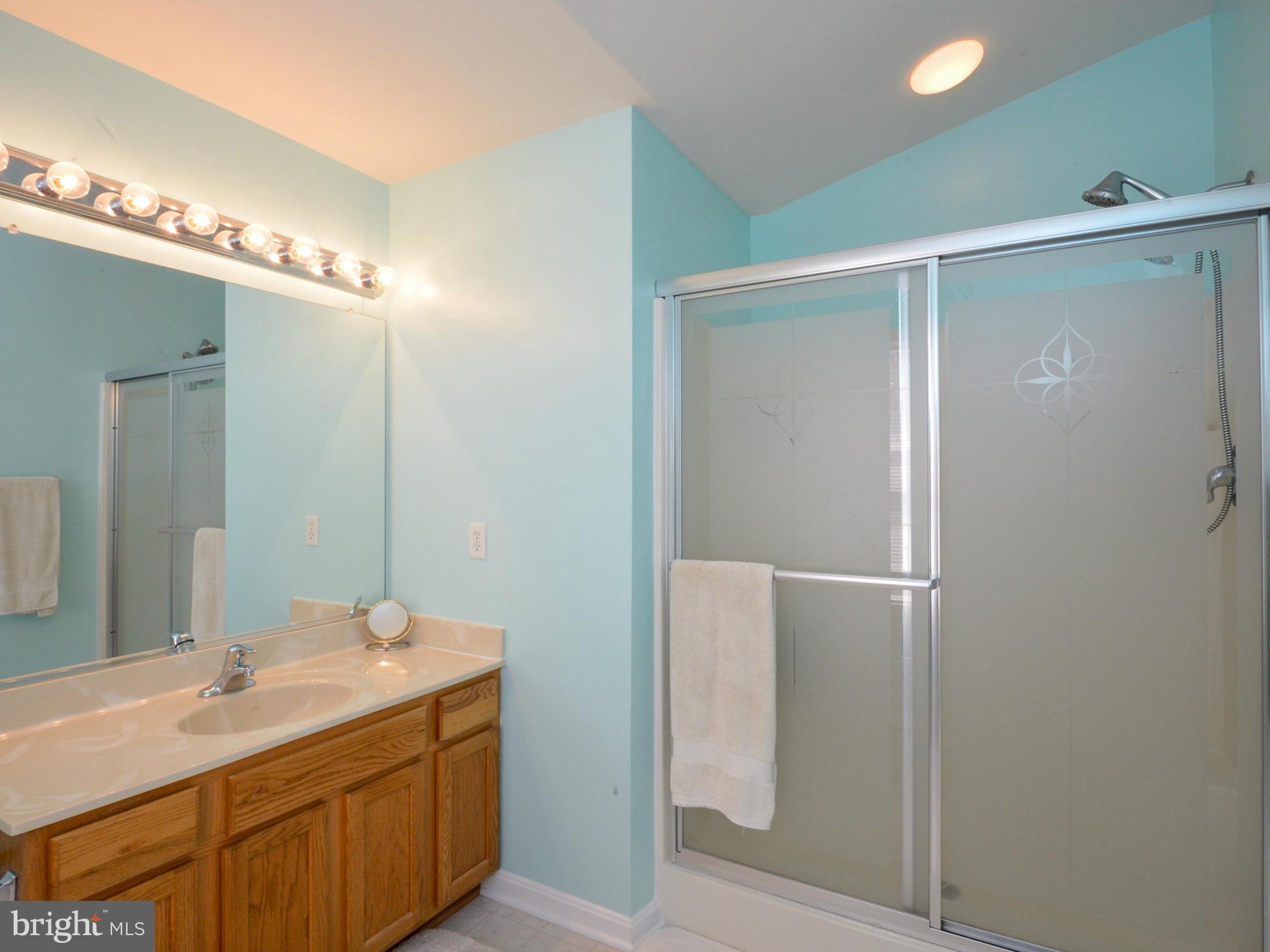 924 Williams Street Edgewater, MD 21037 - Photo 16 of 22 Bath (Master)