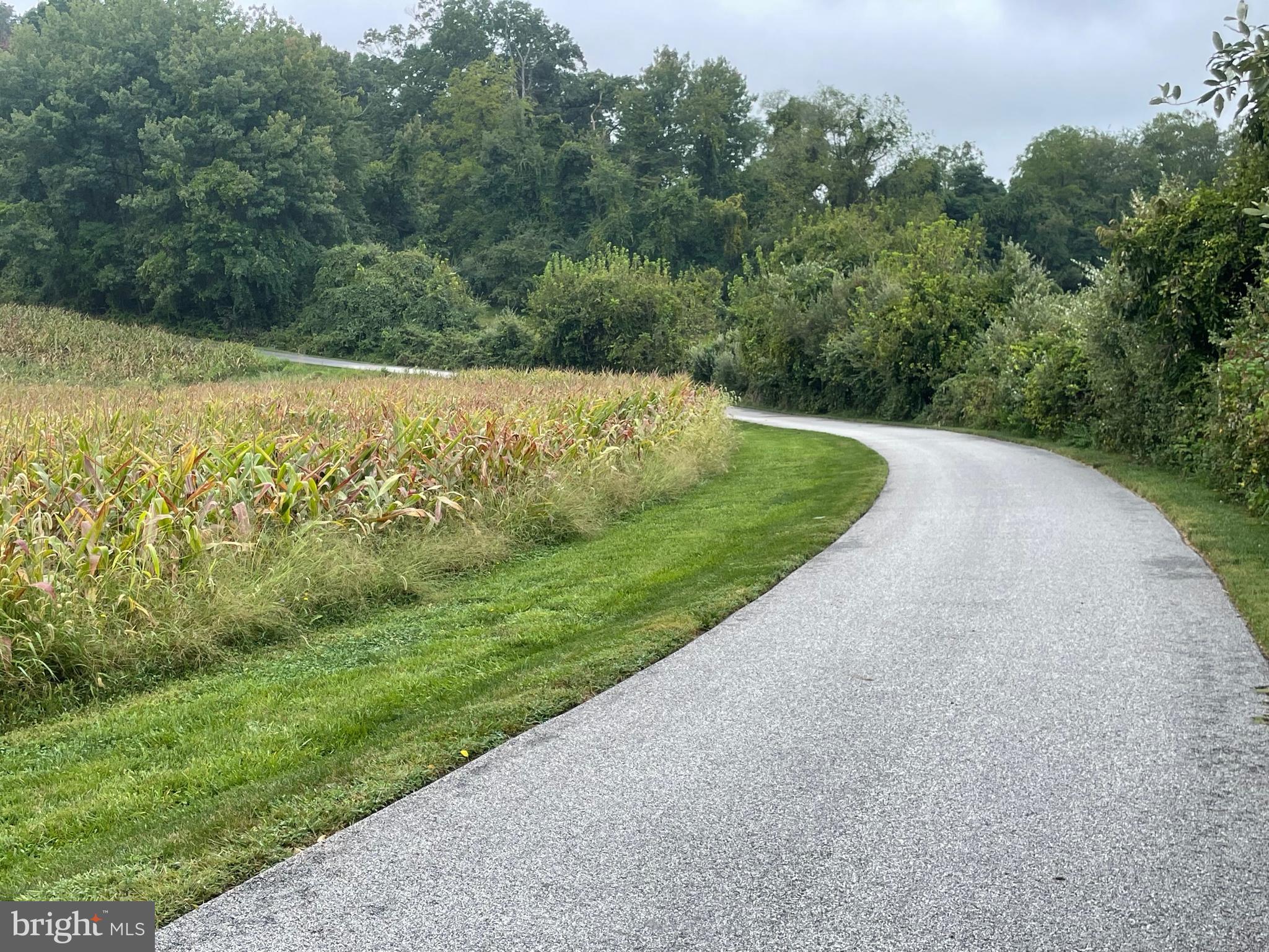 3317 Black Rock Road Reisterstown, MD 21136 - Photo 4 of 35