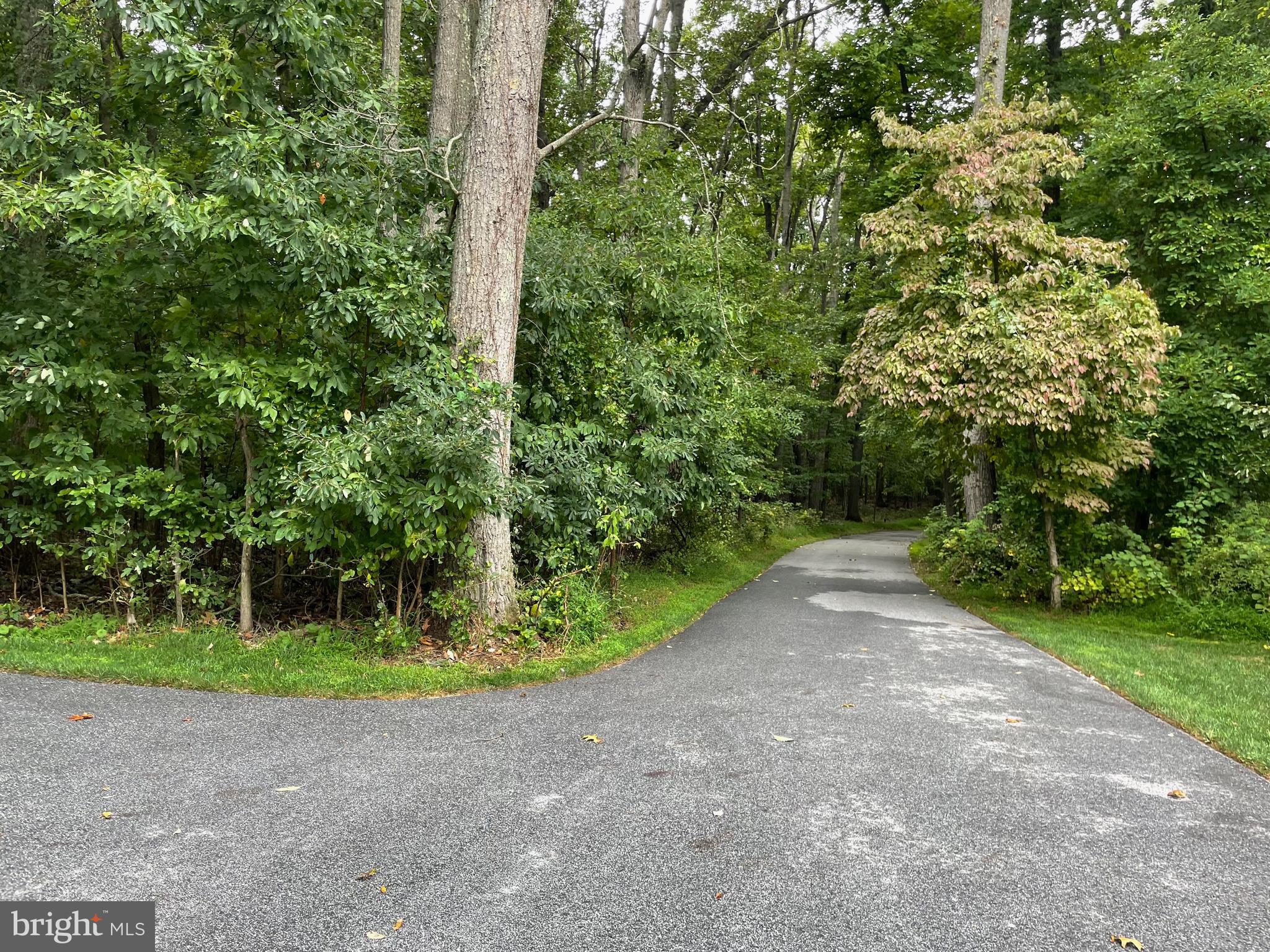 3317 Black Rock Road Reisterstown, MD 21136 - Photo 6 of 35