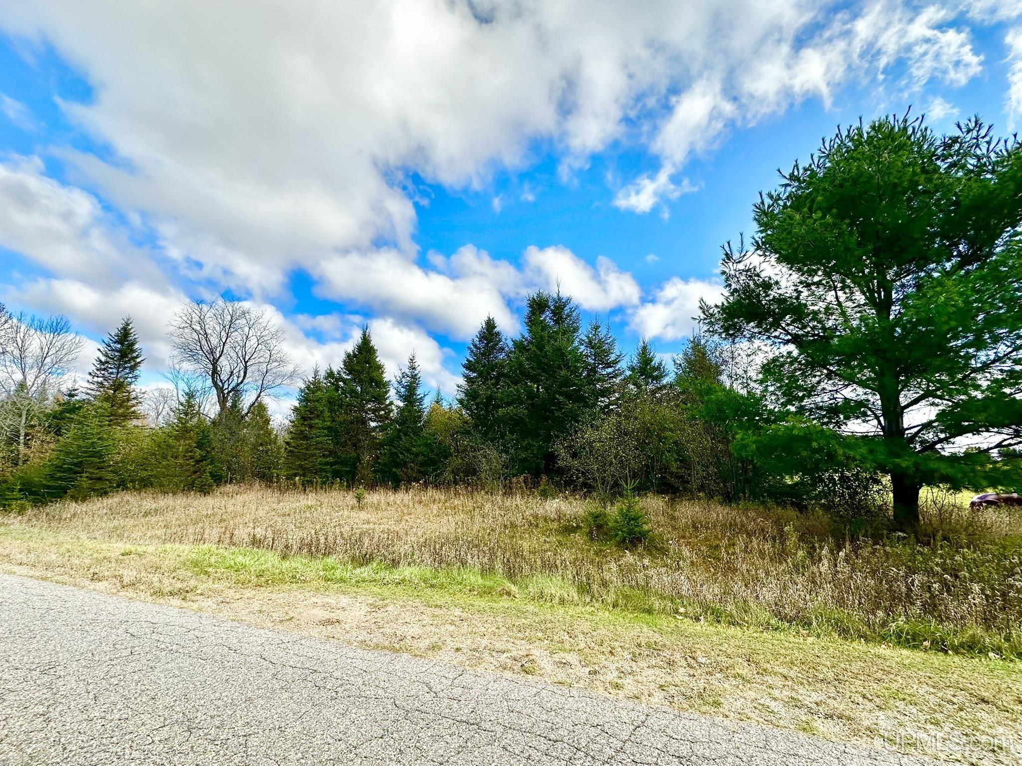 Tbd Harry Peterson Road Foster City, MI 49834 - Photo 3 of 8