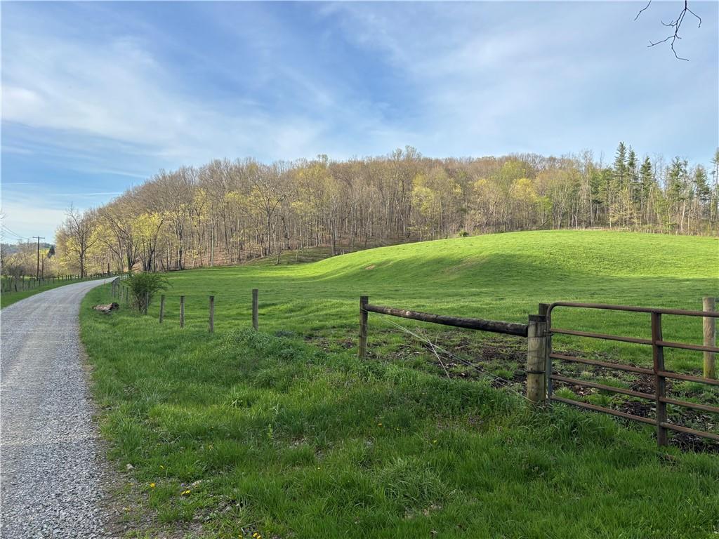 a view of a grassy field