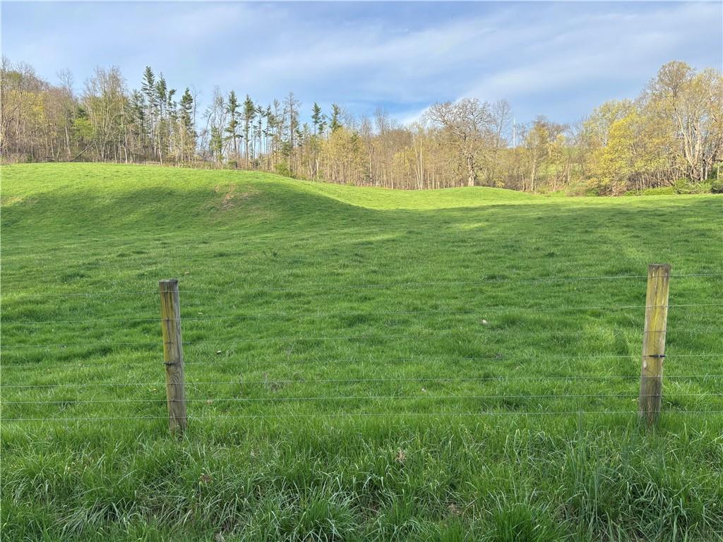 0 Wilhelm Road West Alexander, PA 15323 - Photo 3 of 6