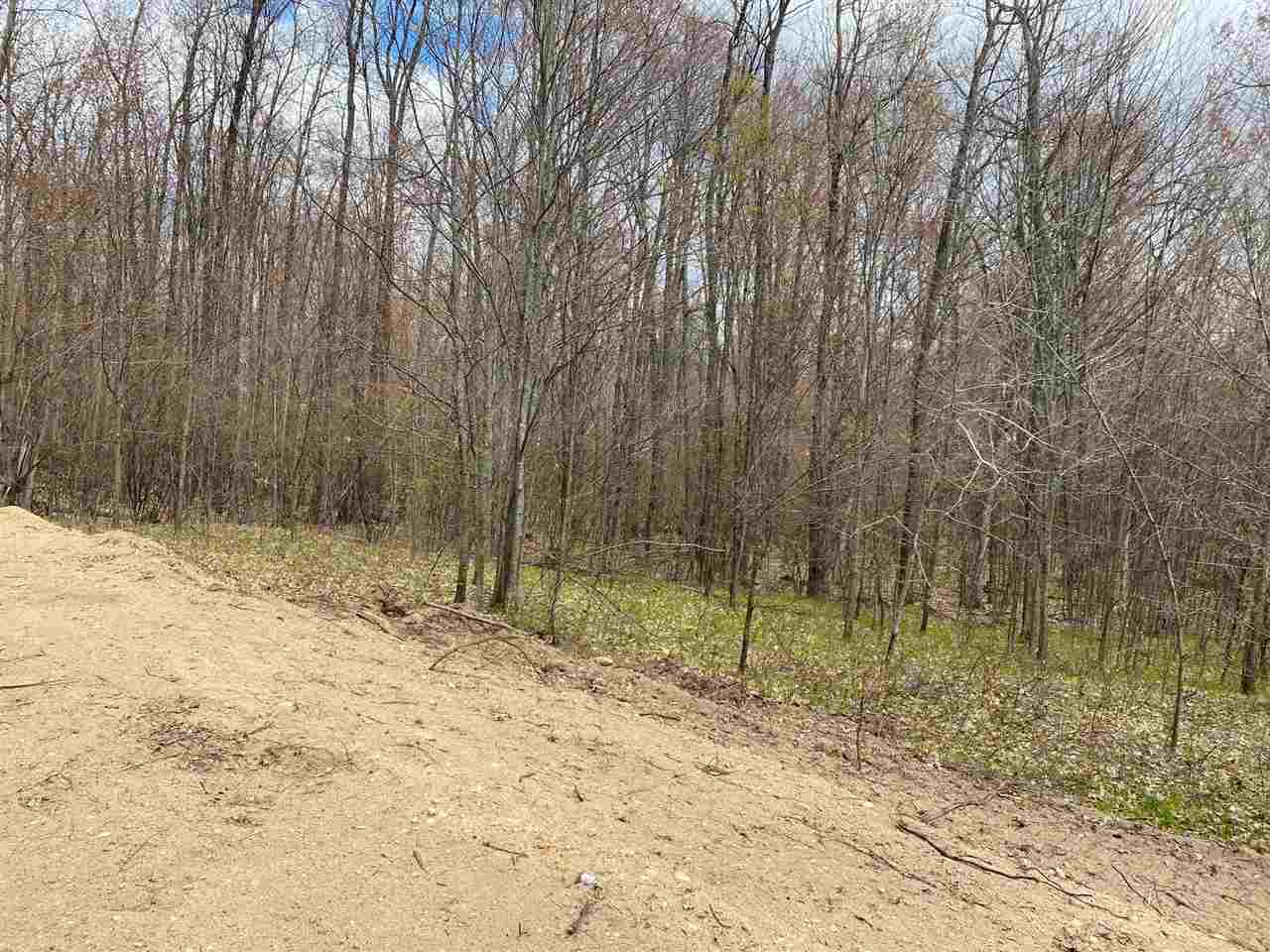 435 East Townline Lake Road Harrison, MI 48625 - Photo 6 of 24
