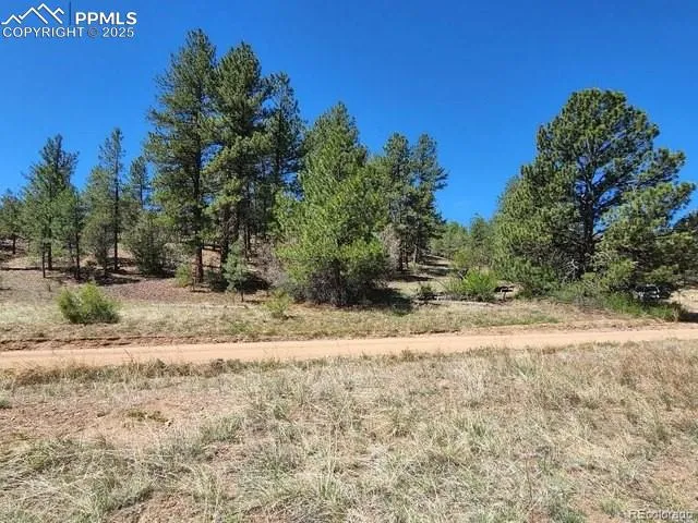 $40,000 | 1385 Tumbleweed Road, Cotopaxi, CO 81223