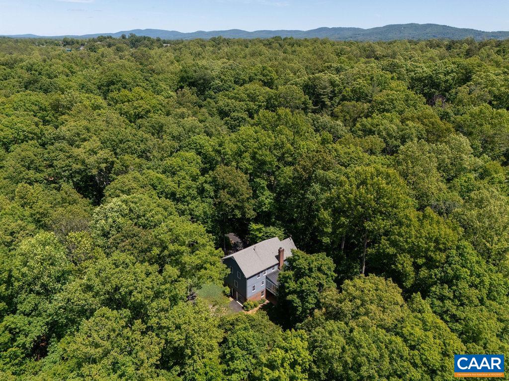 315 Terrell Road West Charlottesville, VA 22901 - Photo 46 of 52