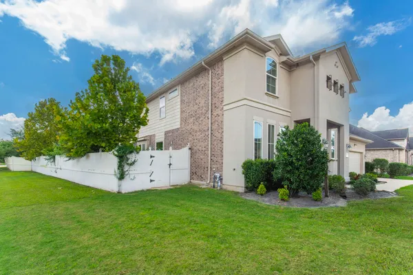 a view of backyard with potted plants and a large tree