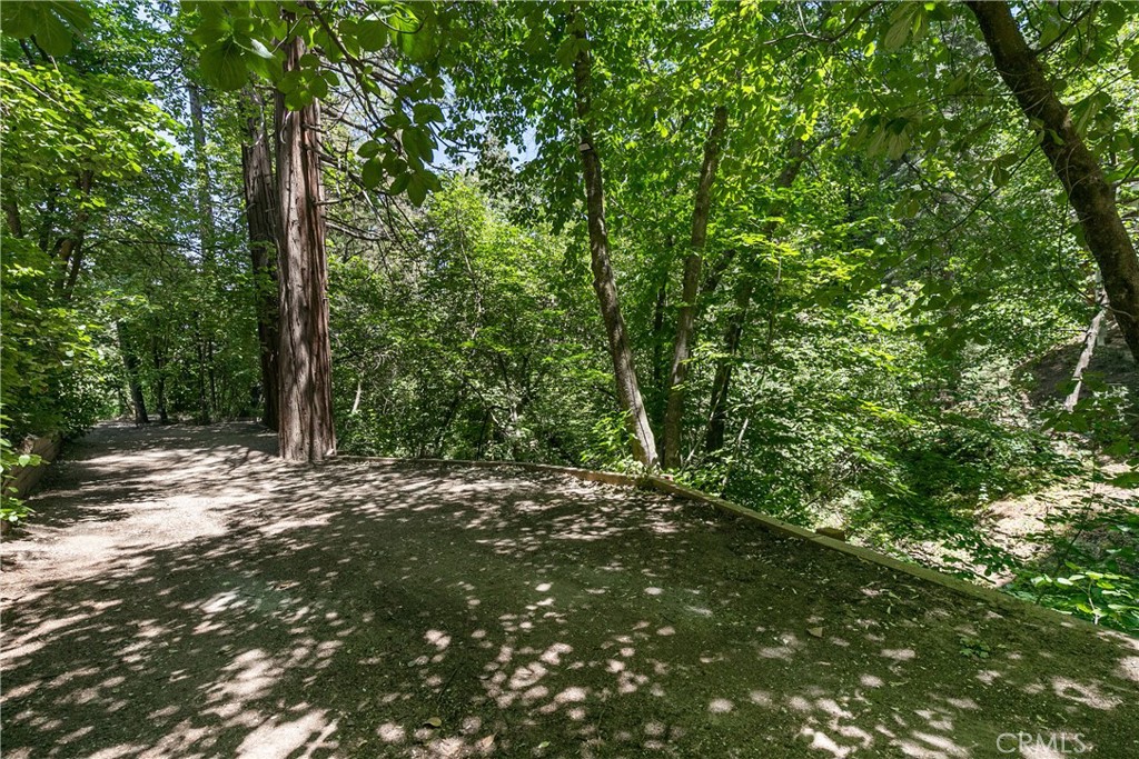 841 Cottage Grove Road Lake Arrowhead, CA 92352 - Photo 26 of 31 driveway