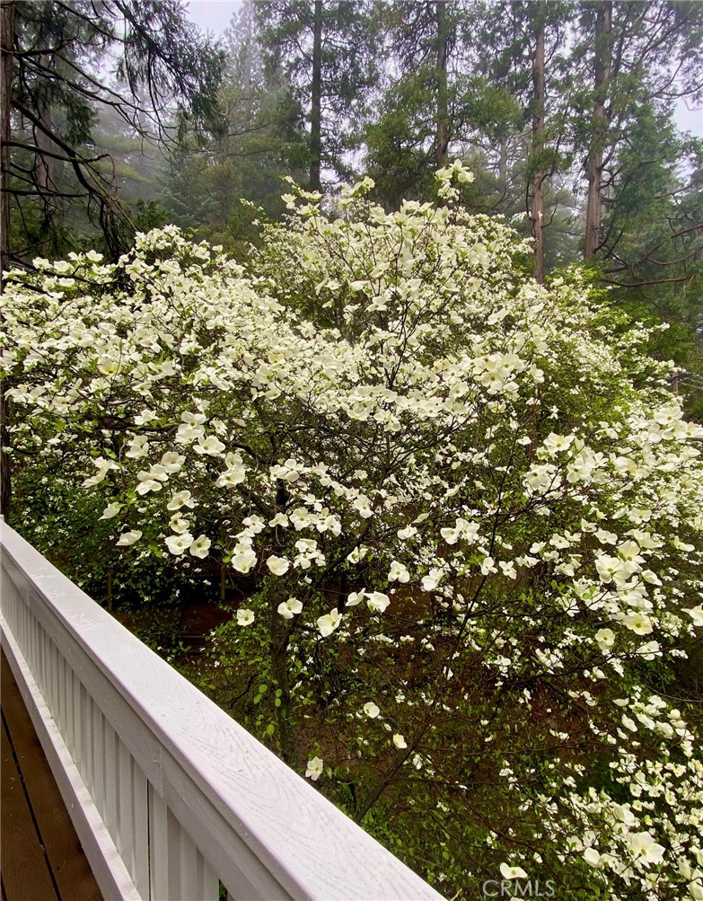 841 Cottage Grove Road Lake Arrowhead, CA 92352 - Photo 29 of 31