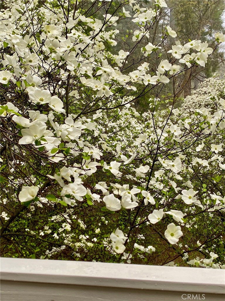 841 Cottage Grove Road Lake Arrowhead, CA 92352 - Photo 30 of 31