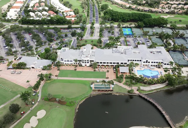 a view of a flower in a garden with flowers