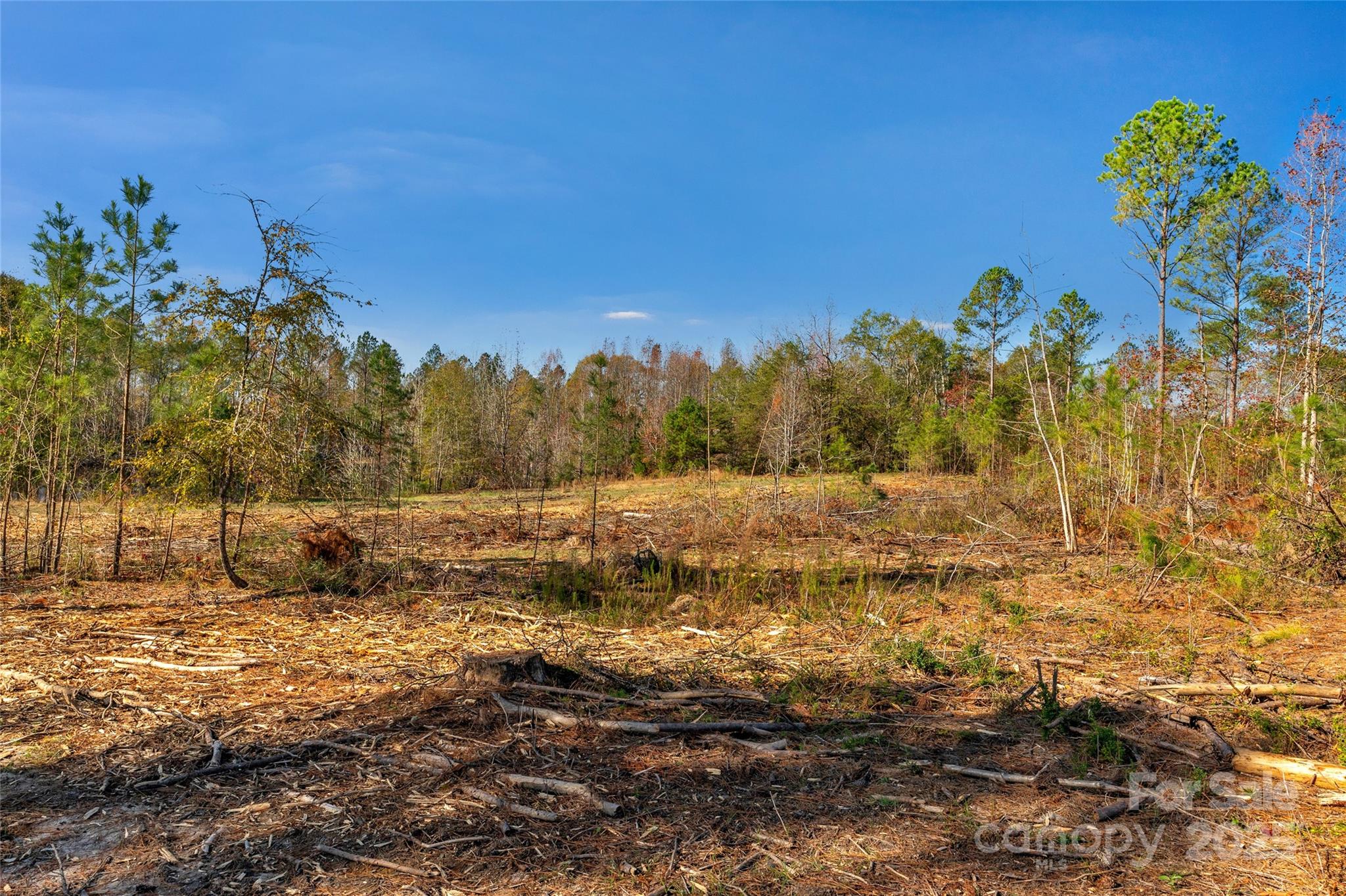 0 Tom Joye Road, Unit 2 Clover, SC 29710 - Photo 13 of 27 Gallery Image 13