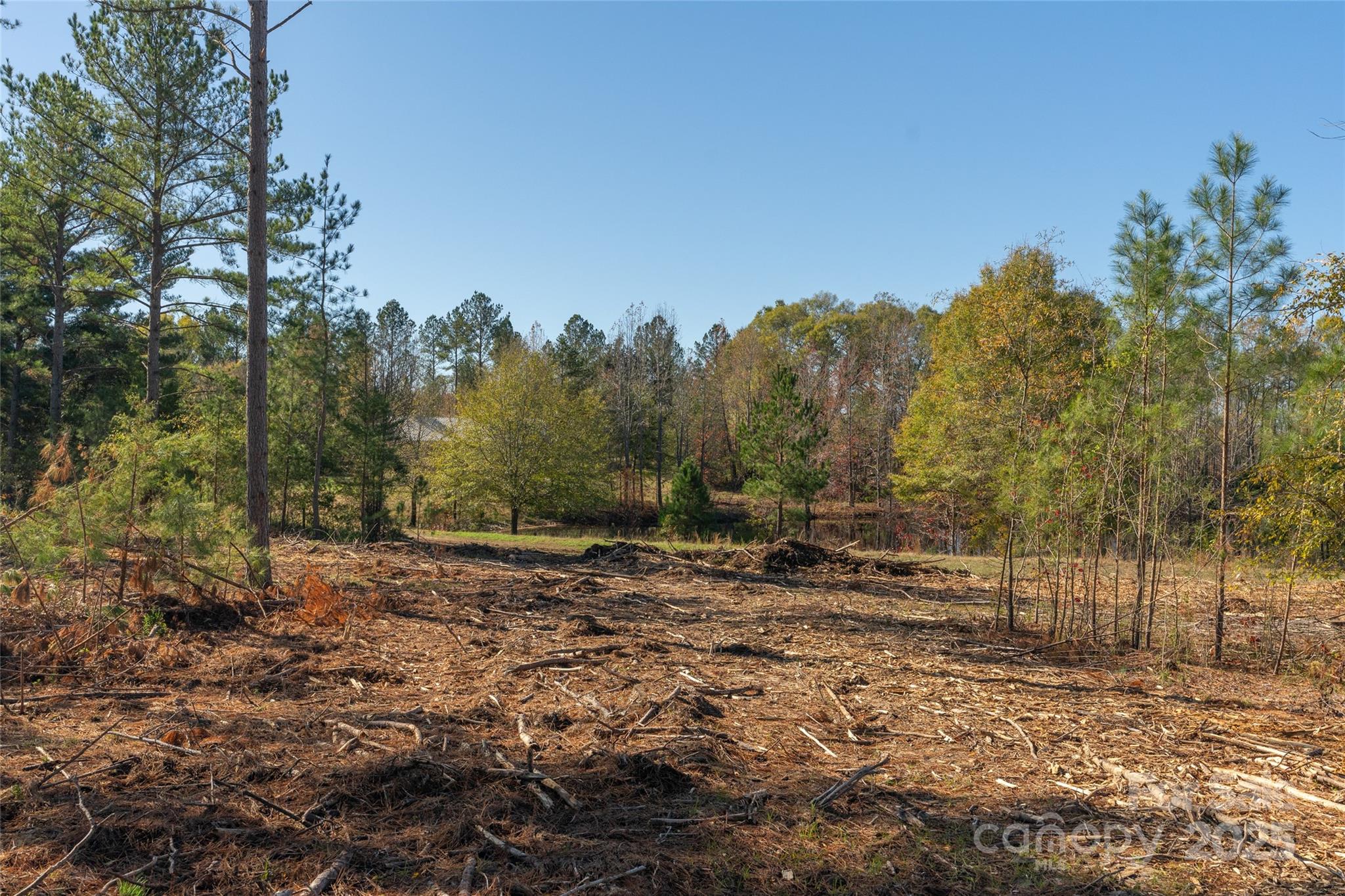0 Tom Joye Road, Unit 2 Clover, SC 29710 - Photo 14 of 27 Gallery Image 14