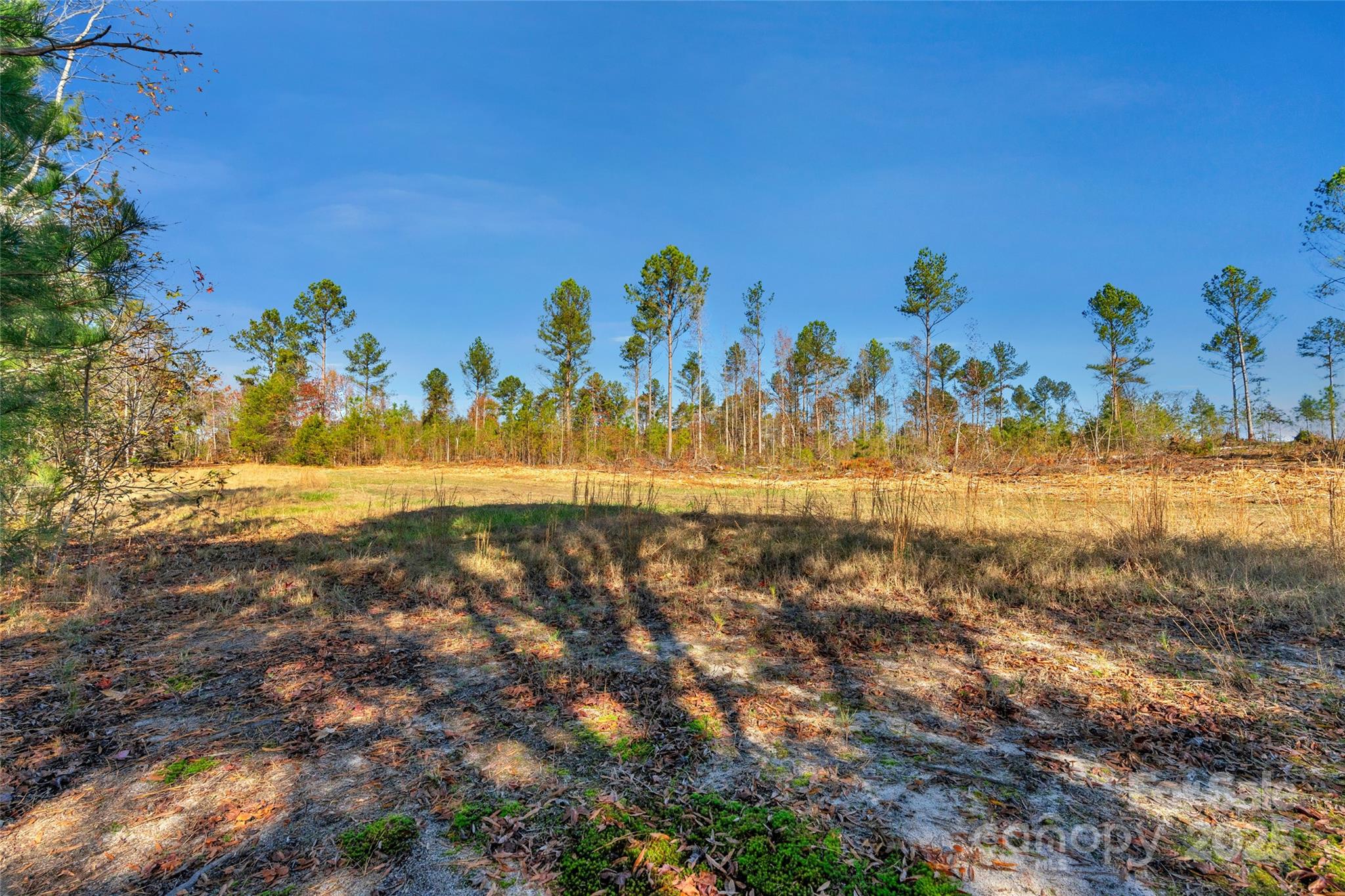 0 Tom Joye Road, Unit 2 Clover, SC 29710 - Photo 16 of 27 Gallery Image 16