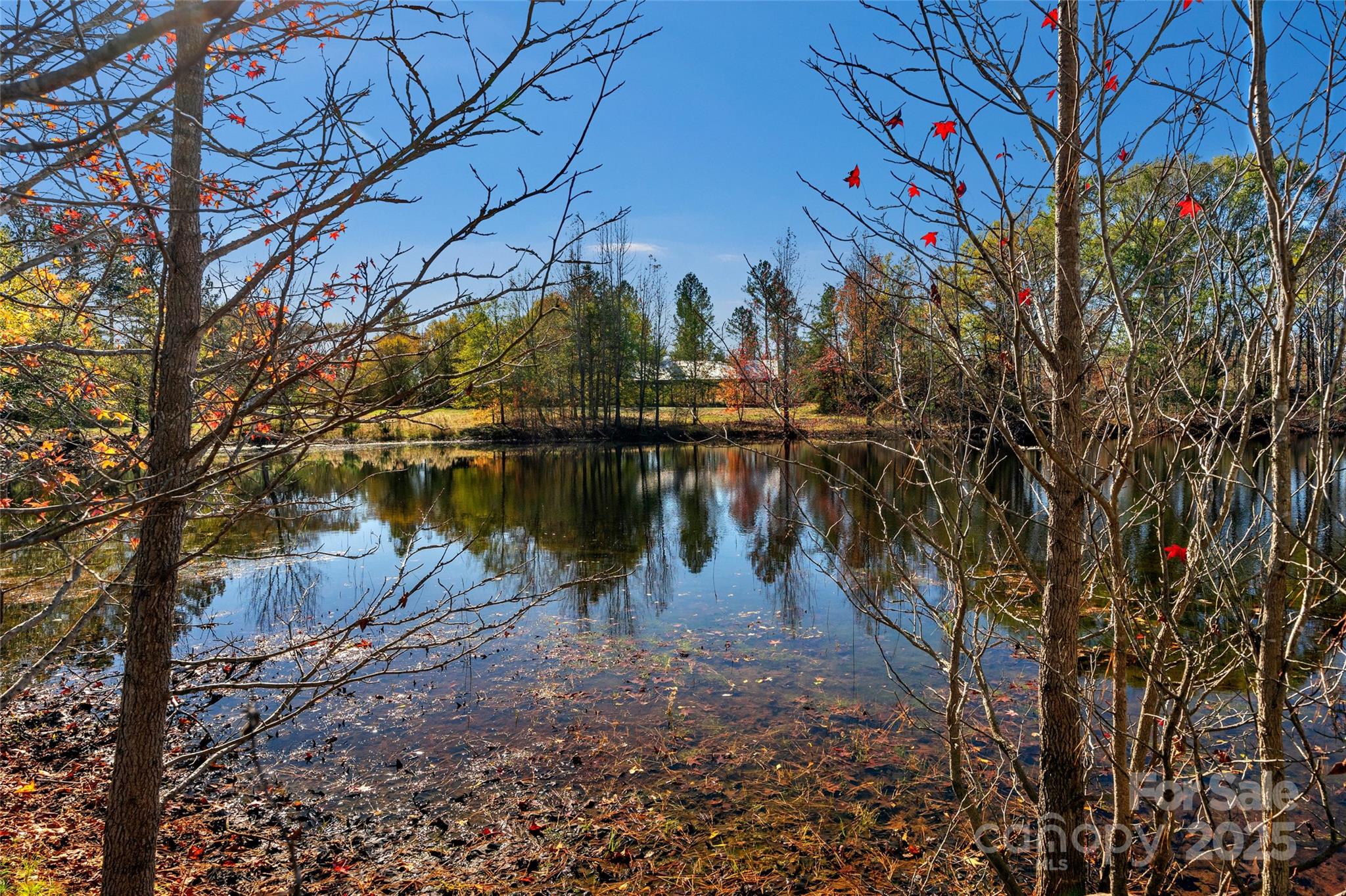 0 Tom Joye Road, Unit 2 Clover, SC 29710 - Photo 17 of 27 Gallery Image 17
