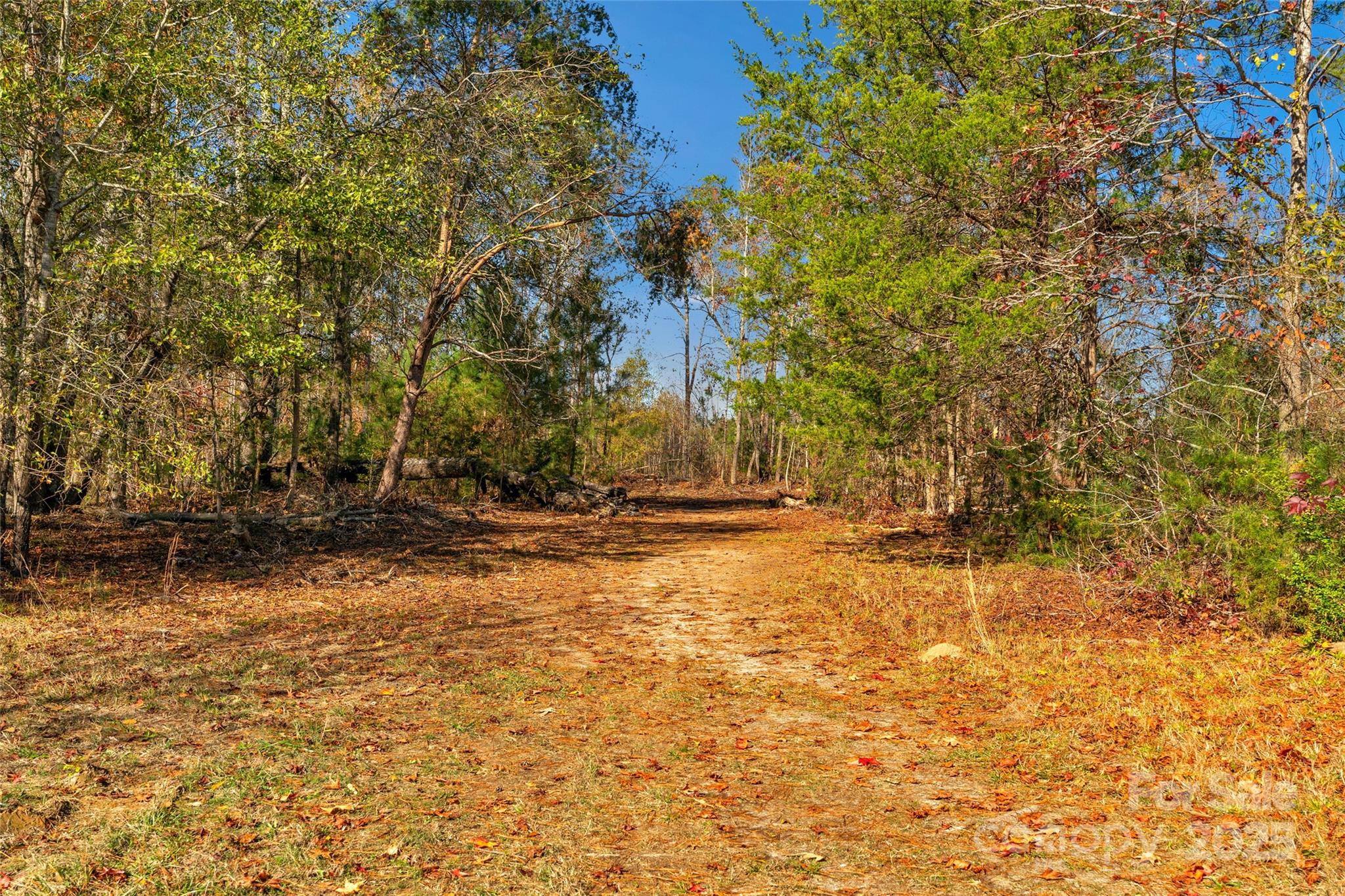 0 Tom Joye Road, Unit 2 Clover, SC 29710 - Photo 18 of 27 Gallery Image 18