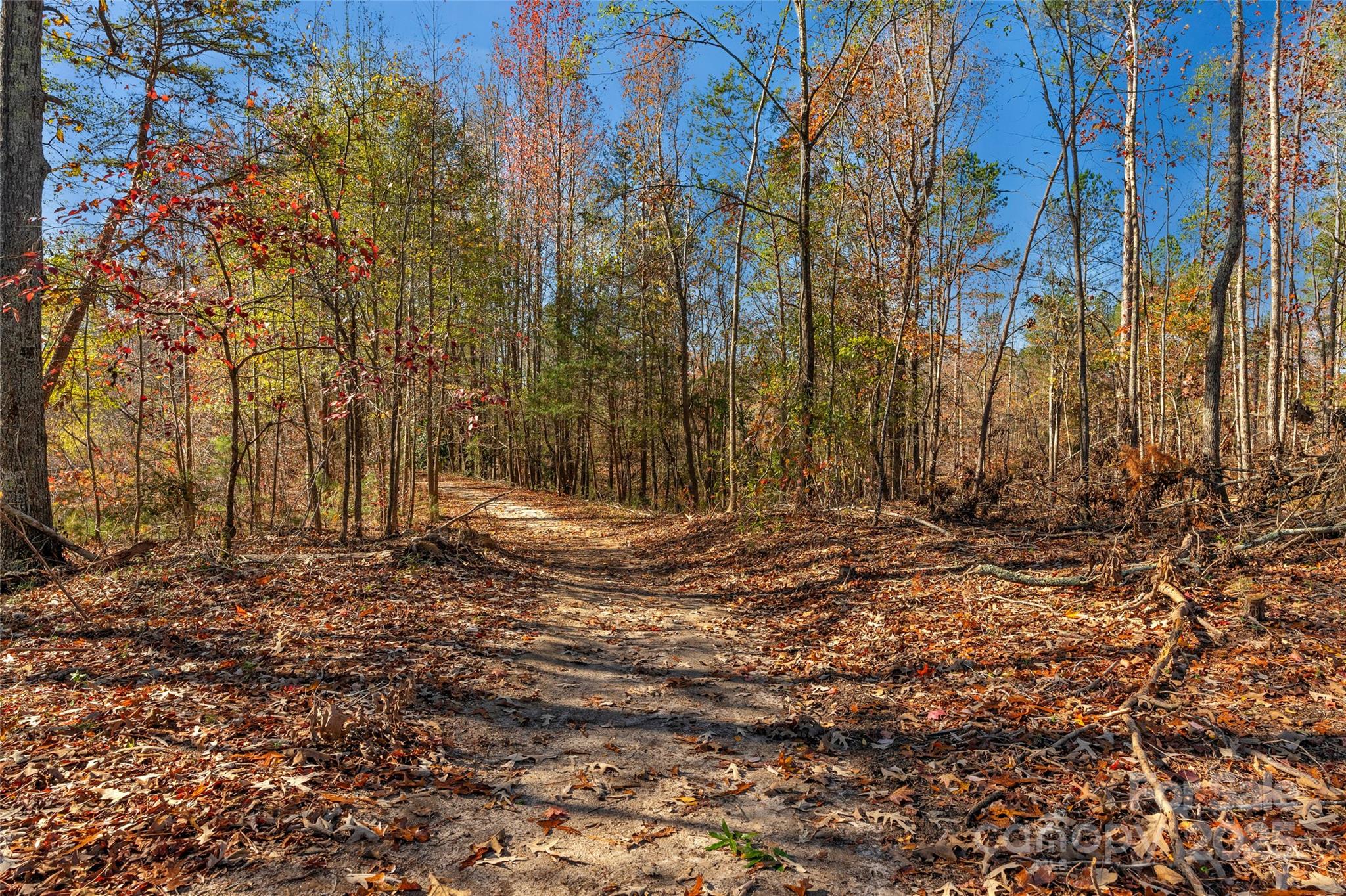 0 Tom Joye Road, Unit 2 Clover, SC 29710 - Photo 19 of 27 Gallery Image 19