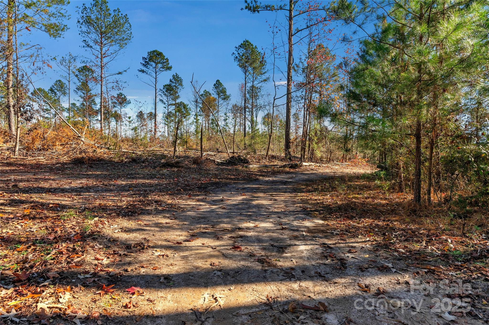 0 Tom Joye Road, Unit 2 Clover, SC 29710 - Photo 20 of 27 Gallery Image 20